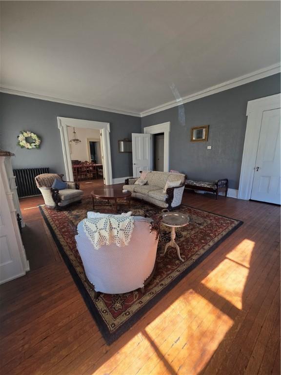 408 W Water St, Elmira-City, NY 14905 - living area featuring radiator, baseboards, crown molding, and dark wood-style floors