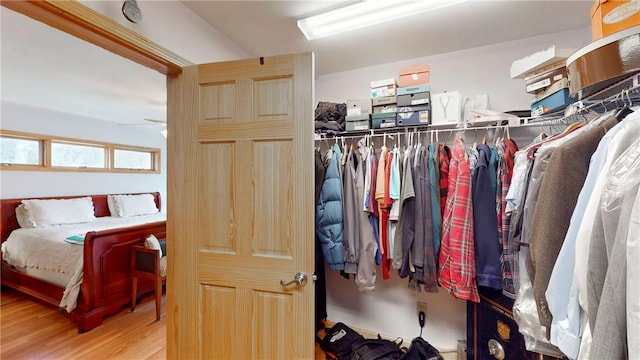spacious closet featuring wood finished floors