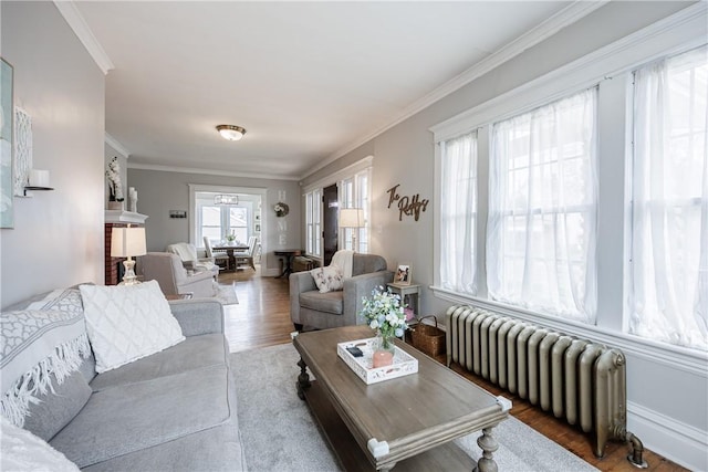 living area with radiator, wood finished floors, and ornamental molding
