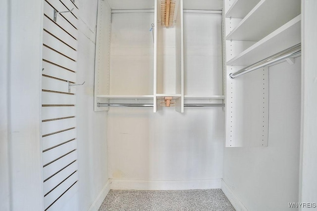35 University Ct, Amherst, NY 14226 - walk in closet with carpet floors
