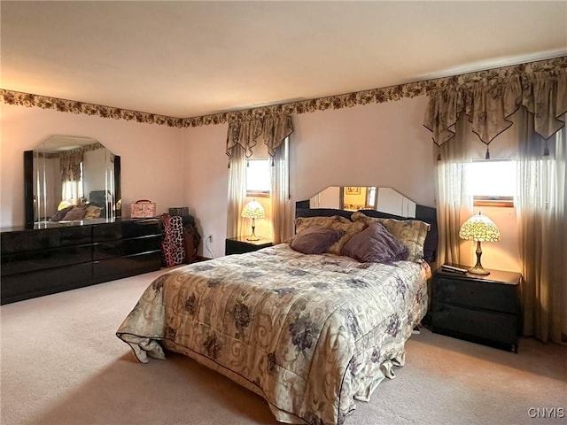 bedroom with carpet floors