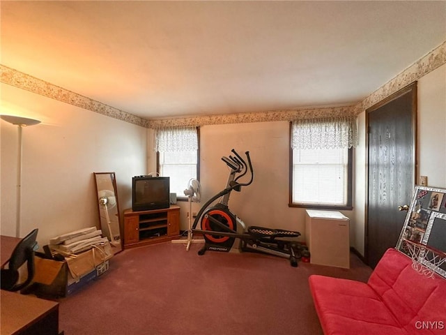 workout room featuring carpet flooring