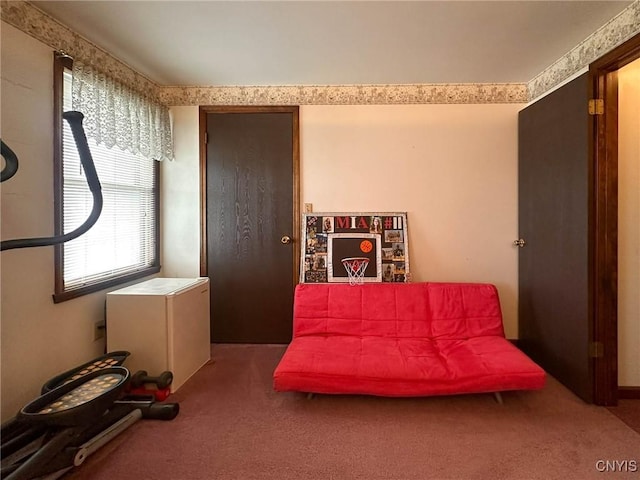 sitting room with carpet floors