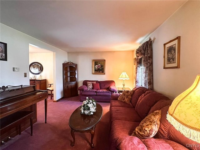 view of carpeted living area