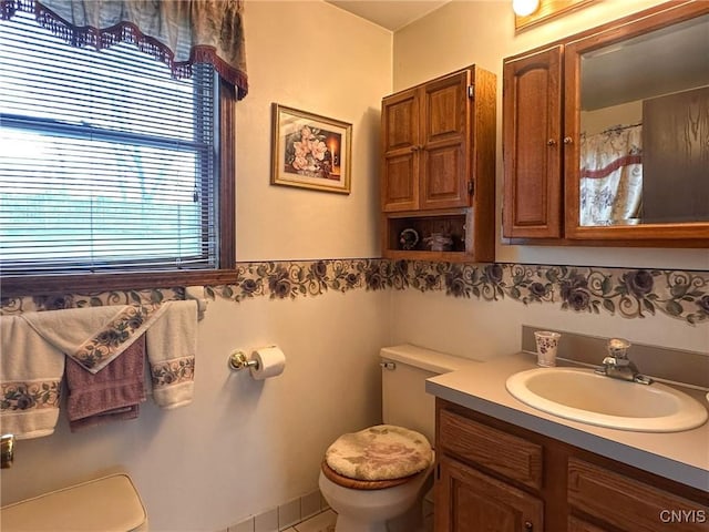 bathroom with toilet and vanity