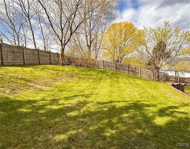 view of yard featuring a fenced backyard