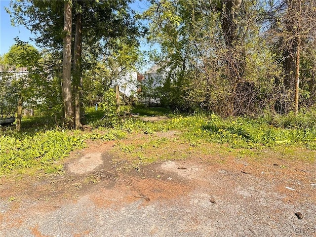 1154 Webster Ave, Utica, NY 13501