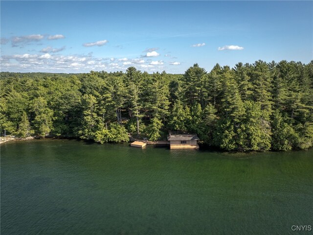 559 Indian Point Rd, Hammond, NY 13679 - photo 29