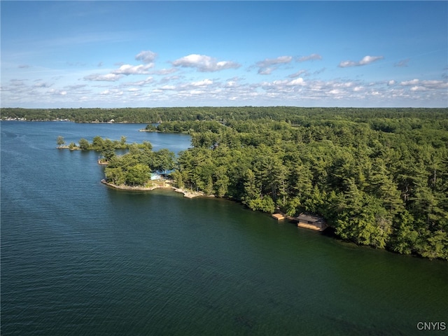 559 Indian Point Rd, Hammond, NY 13679 - photo 30