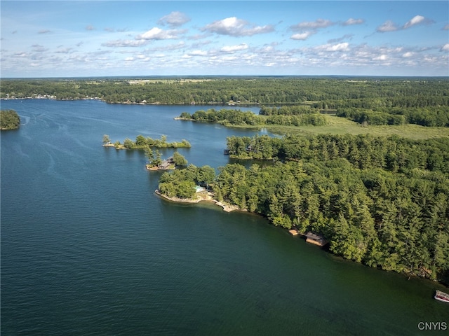 559 Indian Point Rd, Hammond, NY 13679 - photo 31