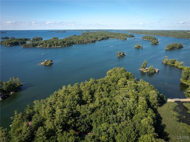 559 Indian Point Rd, Hammond, NY 13679 - photo 32