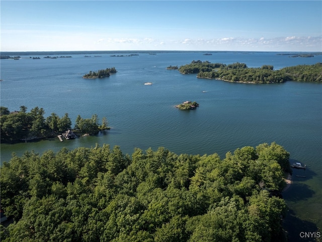 559 Indian Point Rd, Hammond, NY 13679 - photo 33