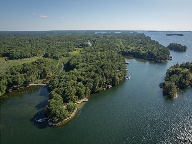 559 Indian Point Rd, Hammond, NY 13679 - photo 35