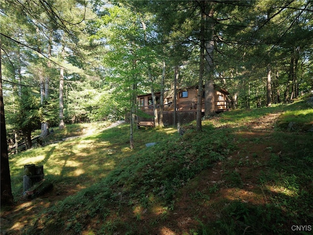 559 Indian Point Rd, Hammond, NY 13679 - photo 26