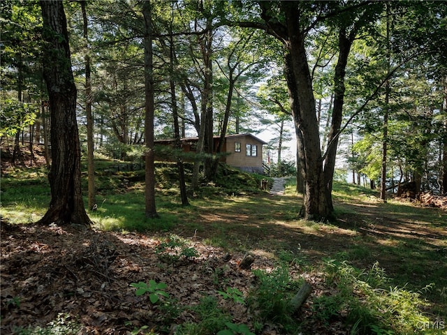 559 Indian Point Rd, Hammond, NY 13679 - photo 25