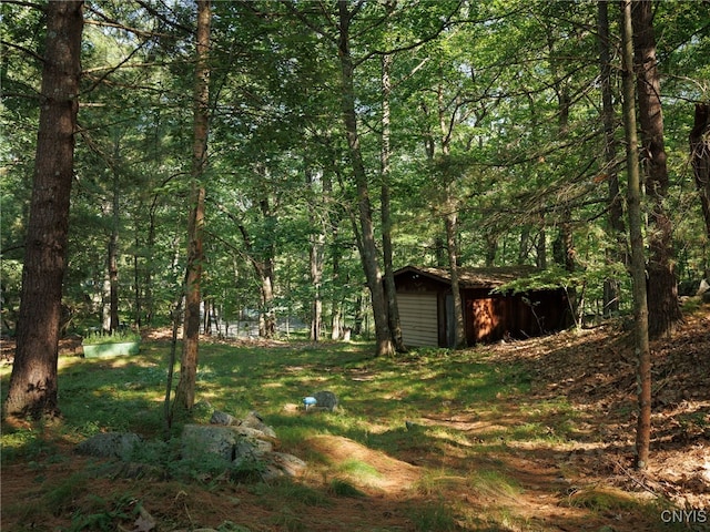 559 Indian Point Rd, Hammond, NY 13679 - photo 22