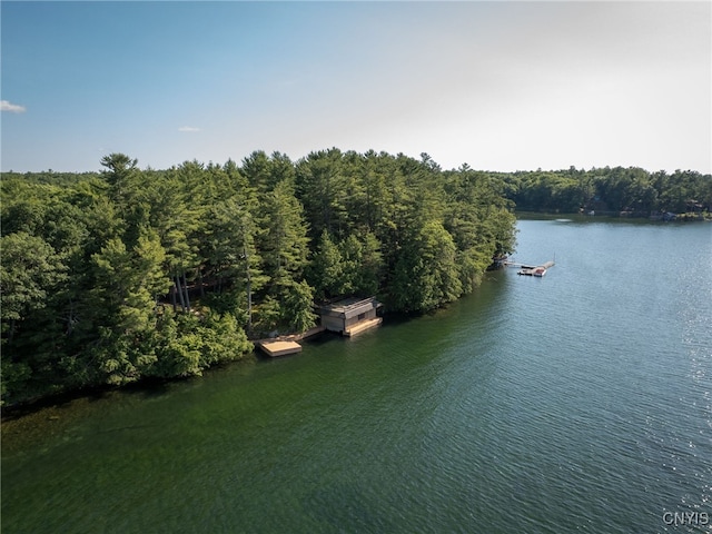 559 Indian Point Rd, Hammond, NY 13679 - photo 9