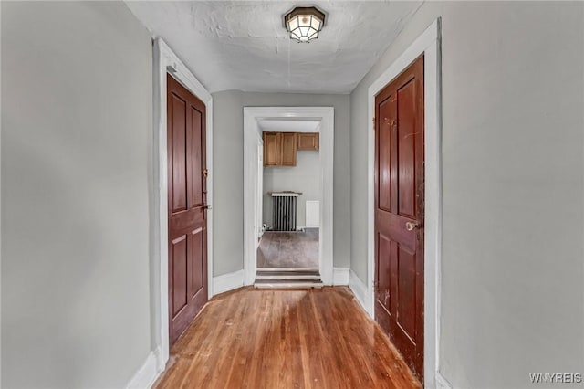 348 Virginia St, Buffalo, NY 14201 - corridor with radiator heating unit, baseboards, and light wood-type flooring