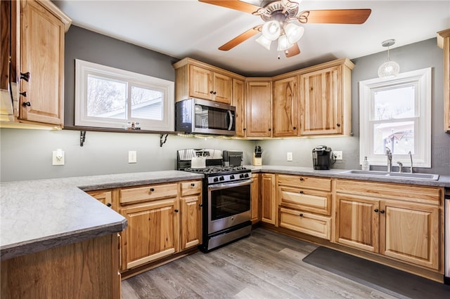 kitchen with stainless steel appliances, wood finished floors, a ceiling fan, a sink, and hanging light fixtures