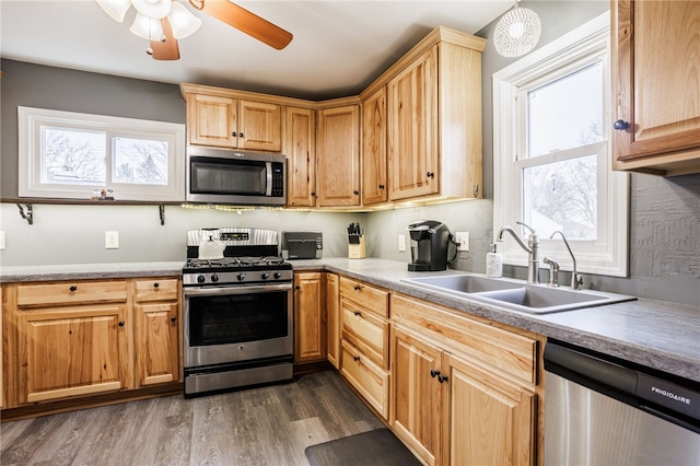kitchen with a healthy amount of sunlight, stainless steel appliances, dark wood-type flooring, and a sink
