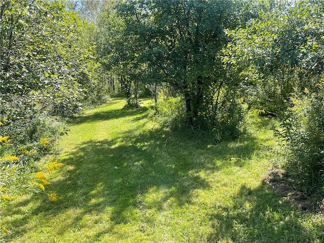 460 Williams Rd, Otsego, NY 13326