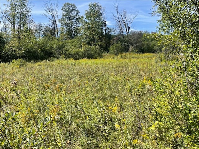 460 Williams Rd, Otsego, NY 13326