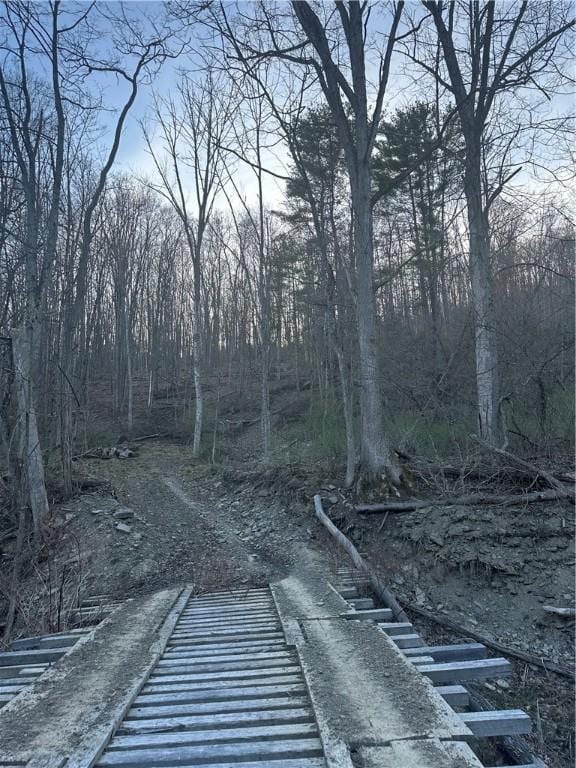 0 Markle Hollow Rd, Big Flats, NY 14814 - photo 1