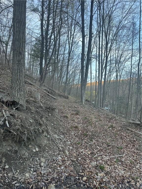 0 Markle Hollow Rd, Big Flats, NY 14814 - photo 2
