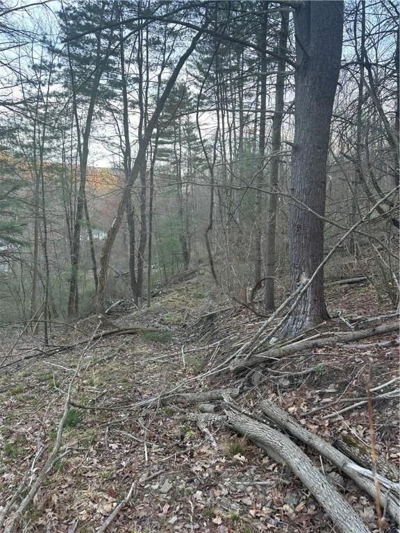 0 Markle Hollow Rd, Big Flats, NY 14814 - photo 3