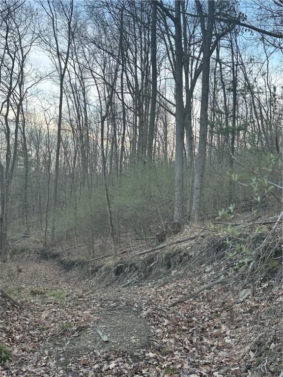 0 Markle Hollow Rd, Big Flats, NY 14814 - photo 4