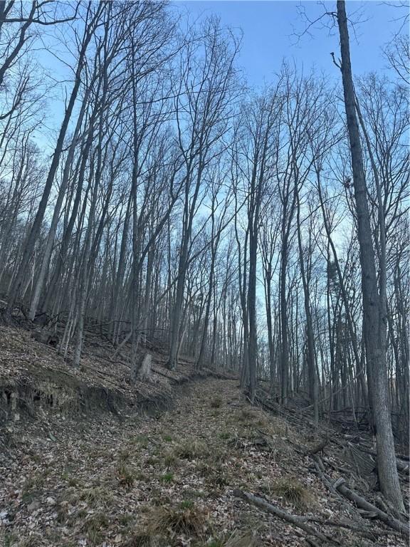 0 Markle Hollow Rd, Big Flats, NY 14814 - photo 5