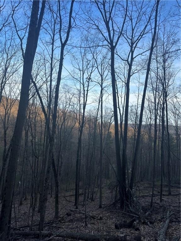 0 Markle Hollow Rd, Big Flats, NY 14814 - photo 6