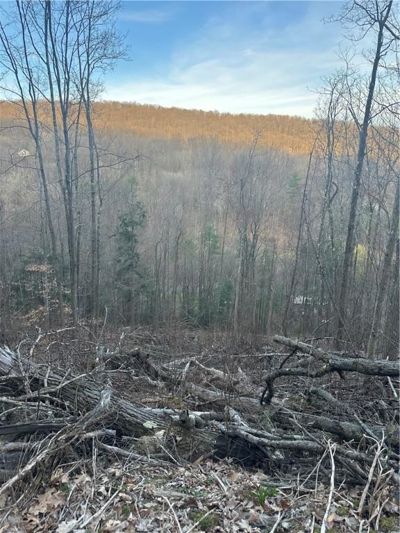 0 Markle Hollow Rd, Big Flats, NY 14814 - photo 7
