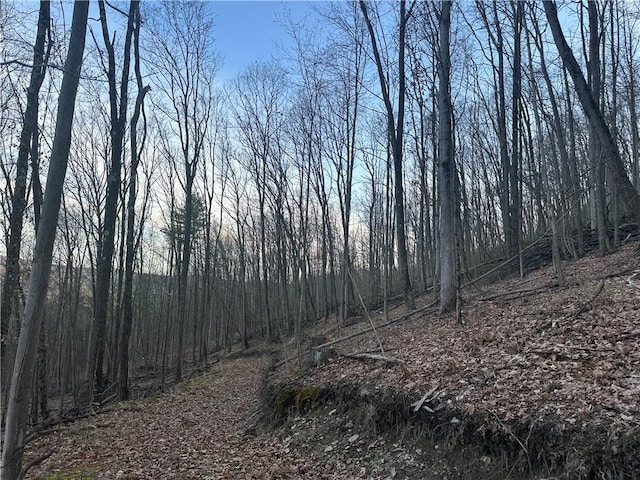 0 Markle Hollow Rd, Big Flats, NY 14814 - photo 8