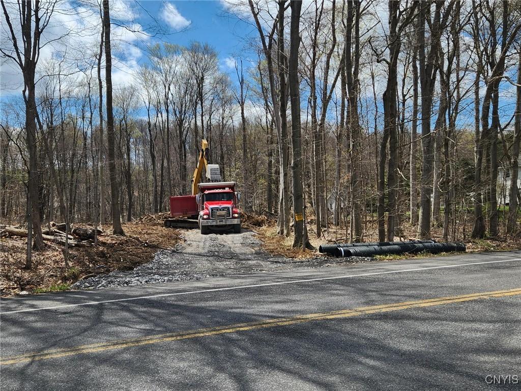 view of road featuring a view of trees