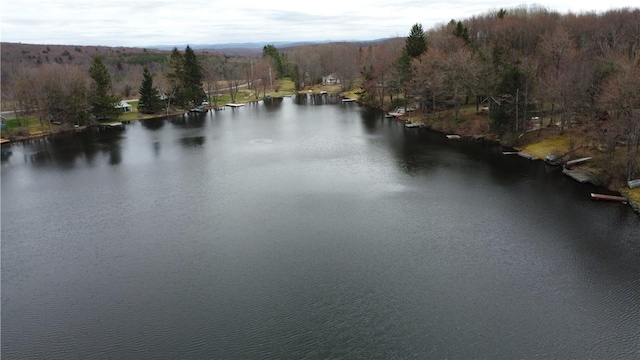 66 S Laurel Lake Rd, Sanford, NY 13754 - photo 28