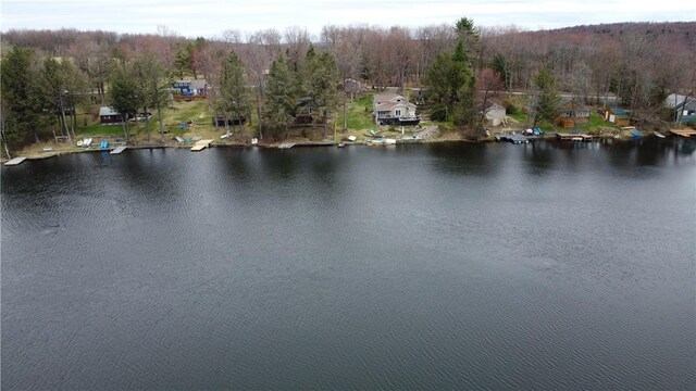 66 S Laurel Lake Rd, Sanford, NY 13754 - photo 29