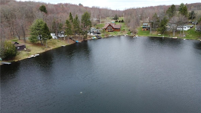 66 S Laurel Lake Rd, Sanford, NY 13754 - photo 30