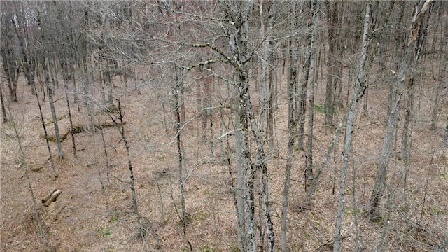 66 S Laurel Lake Rd, Sanford, NY 13754 - photo 32