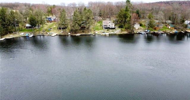 66 S Laurel Lake Rd, Sanford, NY 13754 - photo 36