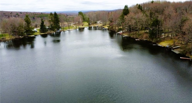 66 S Laurel Lake Rd, Sanford, NY 13754 - photo 37
