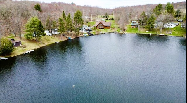 66 S Laurel Lake Rd, Sanford, NY 13754 - photo 38