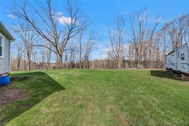 view of yard
