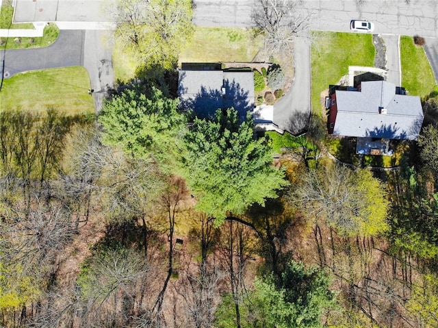 bird's eye view