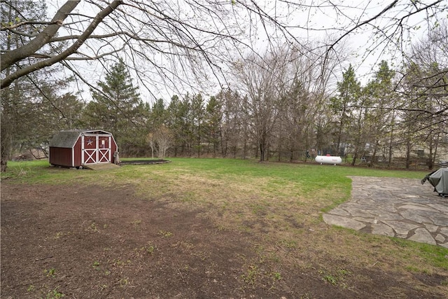 view of yard with an outdoor structure and a shed