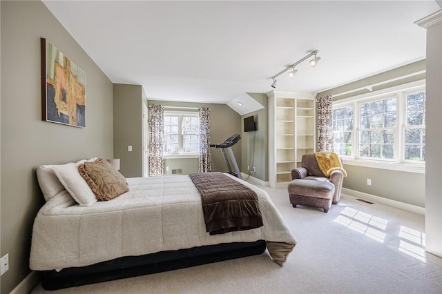 5 Ponds Edge Way, Pittsford, NY 14534 - carpeted bedroom with rail lighting, visible vents, baseboards, and multiple windows