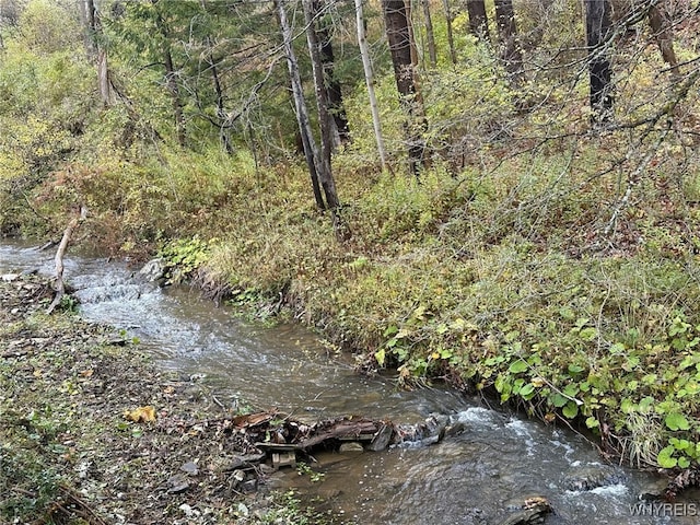 view of nature