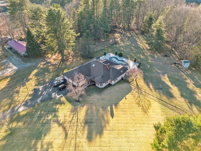 bird's eye view