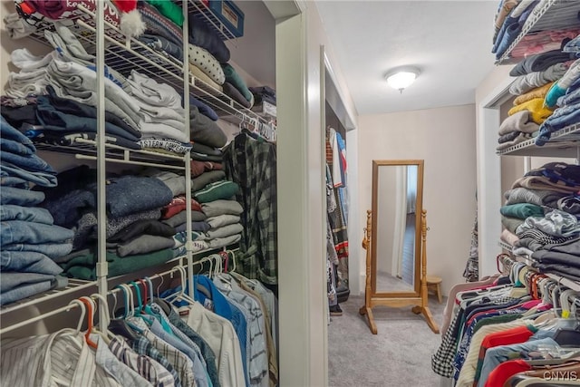 19 Whig Hill Rd, West Monroe, NY 13167 - walk in closet featuring carpet