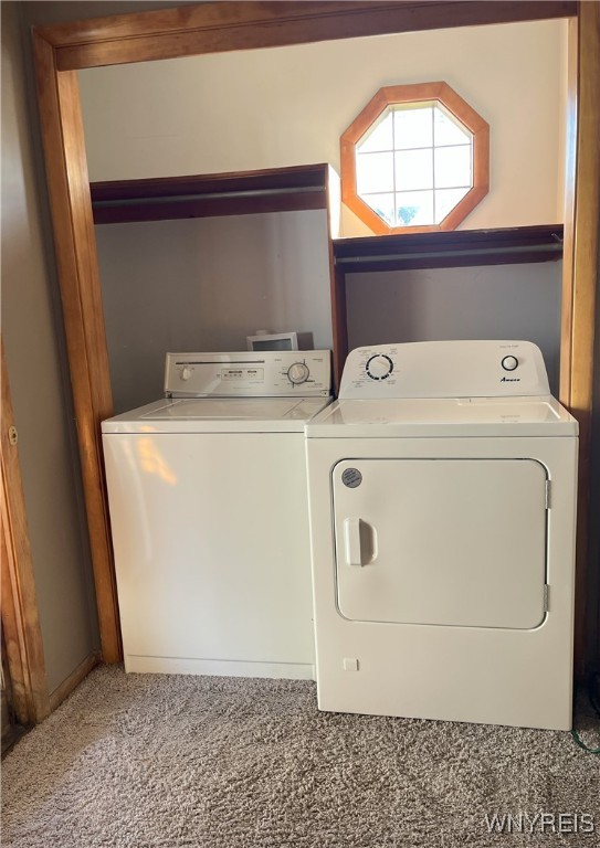 washroom featuring independent washer and dryer, carpet flooring, and laundry area